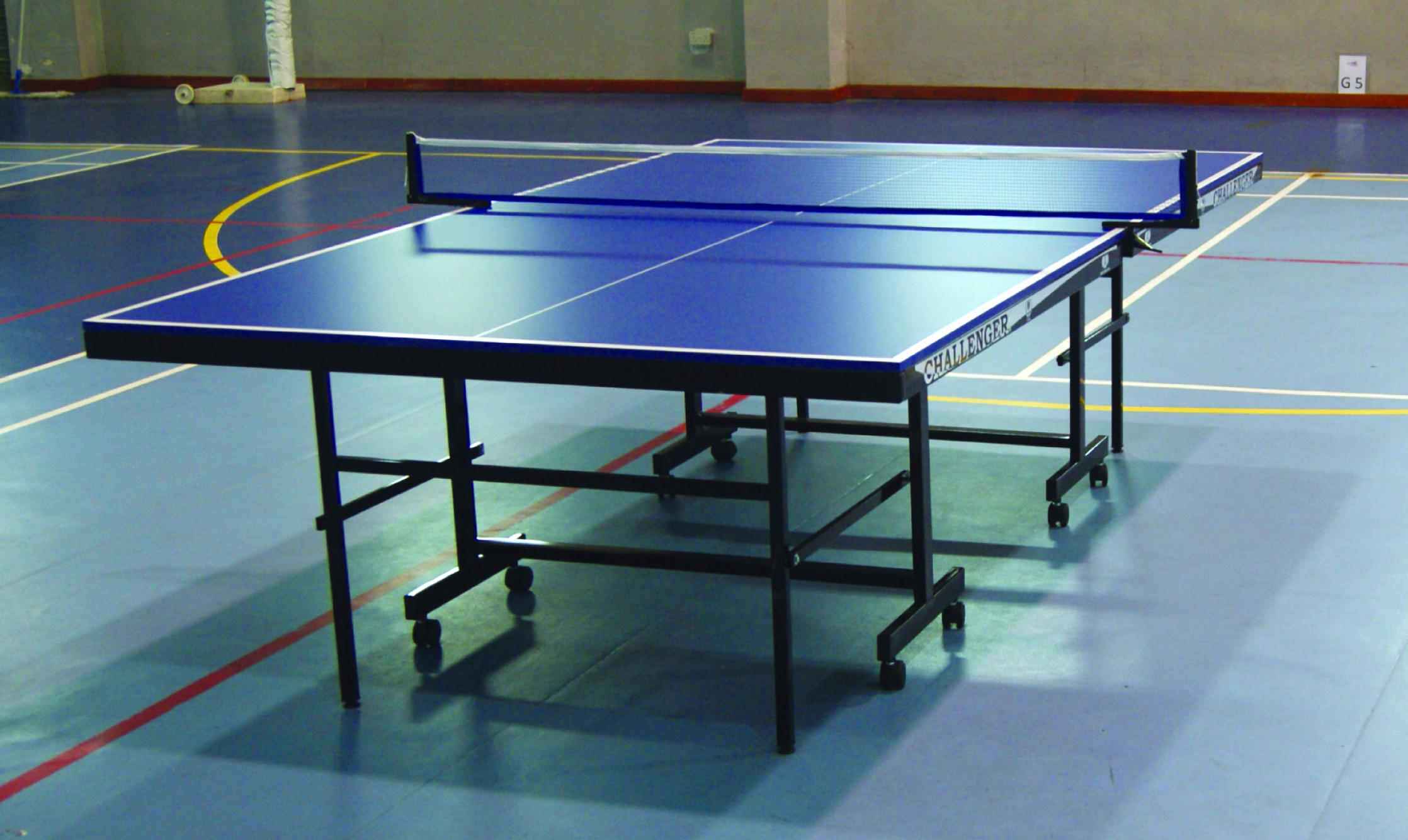Table Tennis Challenger