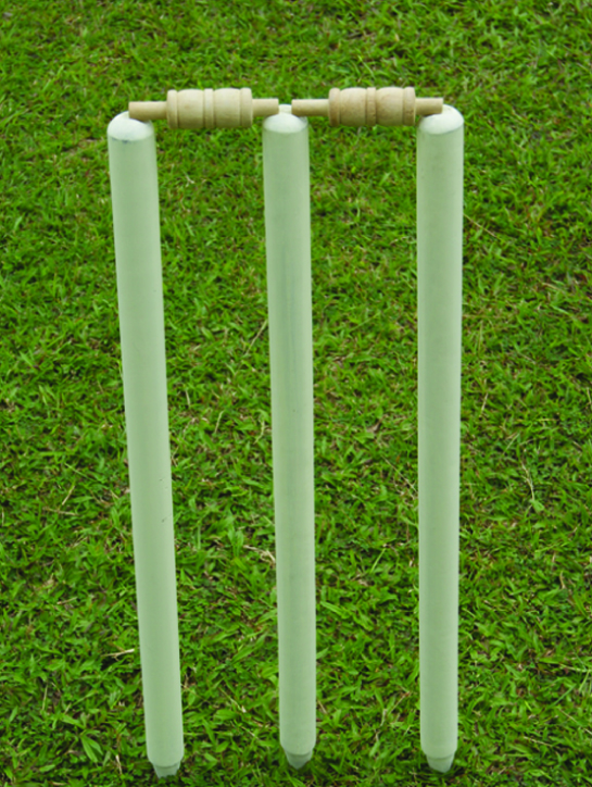 Cricket Wicket