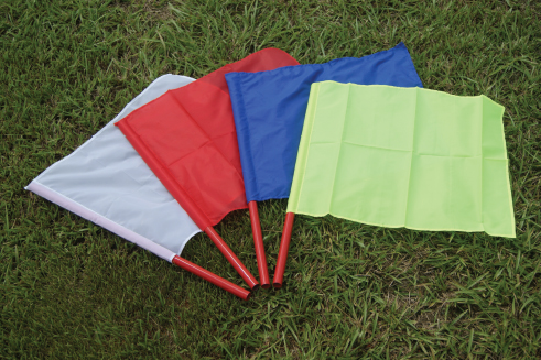 Referee Flags 
