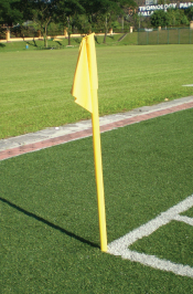 Flag Pole Yellow